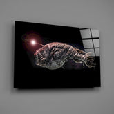 Deepsea Fish Glass Wall Art.